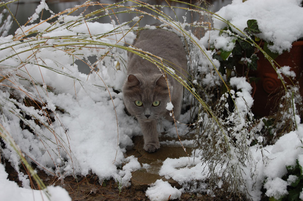 selbst im Winter.jpg